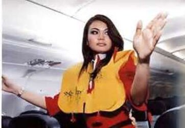 Flight attendant - hotesse de l air
