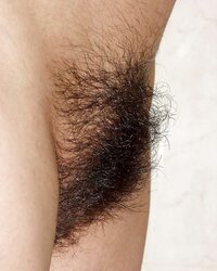 Highly furry vaginas