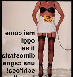Faccio tutto quello che mi chiedete