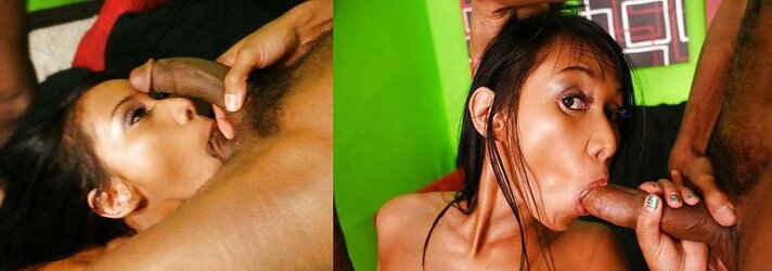 Cyreel Mi Amor Pavlovic