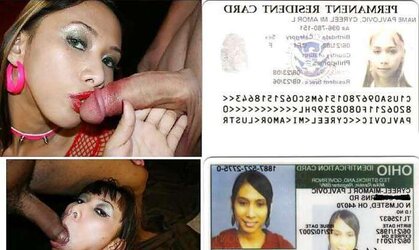 Cyreel Mi Amor Pavlovic