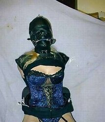 BONDAGE & DISCIPLINE Fledgling