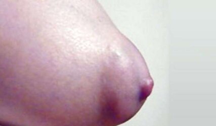 Some adorable nips