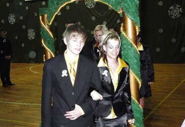 Inexperienced satin casual dresses - custumes, blouses