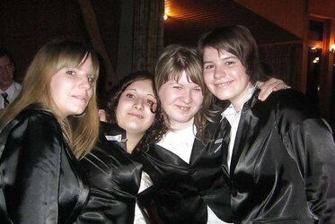 Inexperienced satin casual dresses - custumes, blouses
