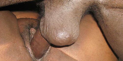 HUGE MOIST CREAM-COLORED SUCCULENT ALL NIGHTERS