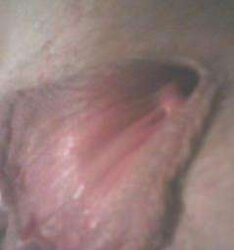 Random honeypot that I want to or have romped