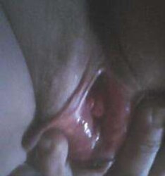 Random honeypot that I want to or have romped