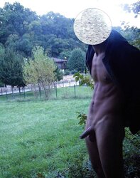 Exhib parc foret nu
