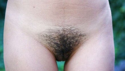 Fluffy Beavers