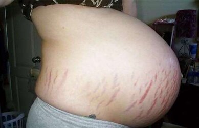 I enjoy pregnant nymph