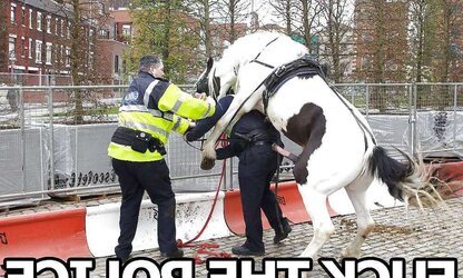 A.C.A.B. - Tear Up Police!