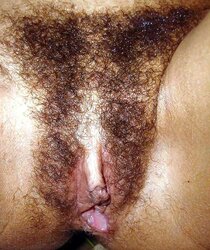 FAT Areola Latin