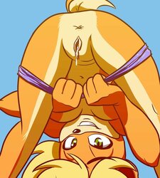 Coco Bandicoot