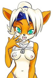 Coco Bandicoot