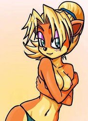 Coco Bandicoot