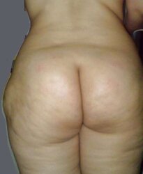 Persian magnificent