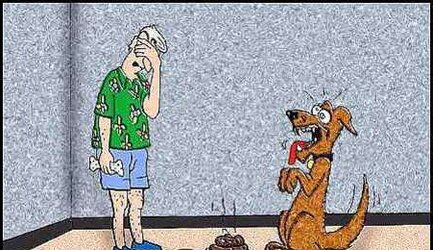 Cartoon Mix Up