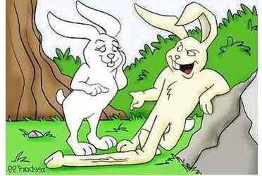 Cartoon Mix Up