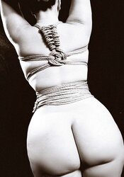 Thick Donk White Ladies