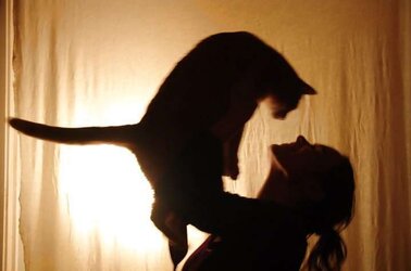 Silhouette Set