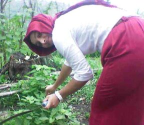 Turkish arab turbanli hijab asian karisik