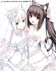 Neko Para 01 (catgirl Neko Hentai)