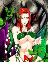 DC Comics Damsels
