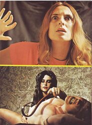 Infrequent Vintage Anguish Set