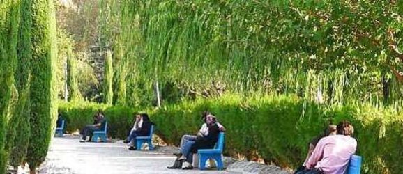 Iranian spy cam