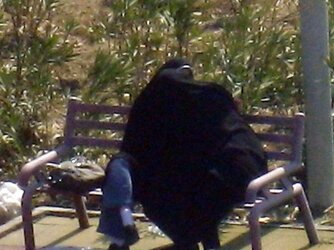 Iranian spy cam