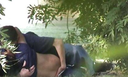 Iranian spy cam