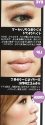 Magnificent girls from Japanese pamphlets (14)