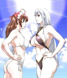 Selvaria Bles (Valkyria Chronicles)