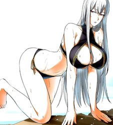 Selvaria Bles (Valkyria Chronicles)