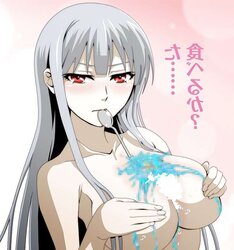 Selvaria Bles (Valkyria Chronicles)