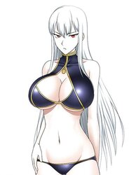 Selvaria Bles (Valkyria Chronicles)