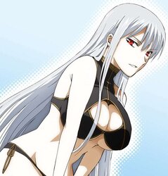 Selvaria Bles (Valkyria Chronicles)