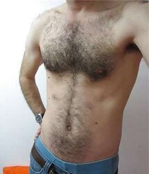 Magnificent unshaved pecs