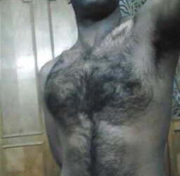 Magnificent unshaved pecs