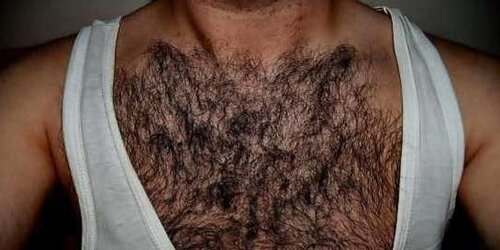 Magnificent unshaved pecs