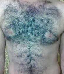 Magnificent unshaved pecs