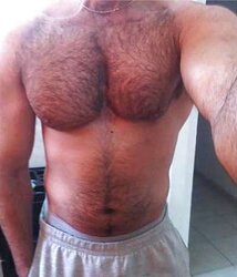 Magnificent unshaved pecs
