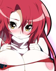 Ample hooters hentai