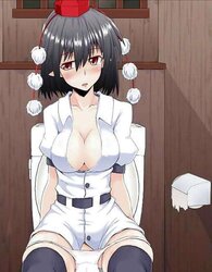 Hentai Toilet Peeping