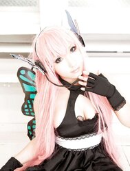 Japanese Cosplay Sweeties-Saku (Vocaloid) (two)