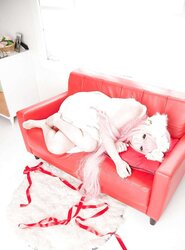 Japanese Cosplay Sweeties-Saku (Vocaloid) (two)