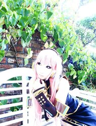 Japanese Cosplay Sweeties-Saku (Vocaloid) (two)