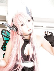 Japanese Cosplay Sweeties-Saku (Vocaloid) (two)