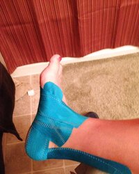 Her Silk Gams